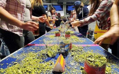 YCH Brings Women in Beer Together to Create Annual Hop Blend