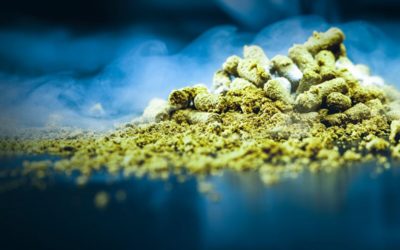 Cryo Hops® Pellets – Now Available in 5 New Varieties