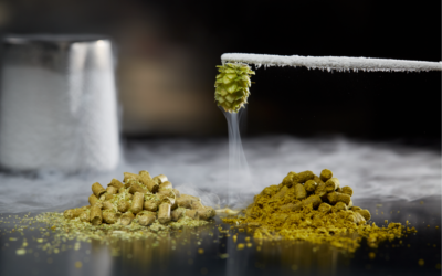 Homebrewing with Cryo Hops®